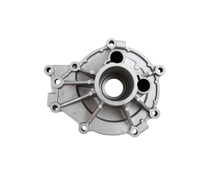 Aluminum die cast housing